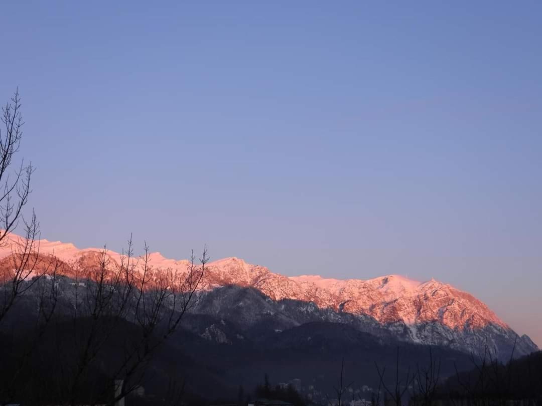 Sinaia Alpineview Residence 외부 사진