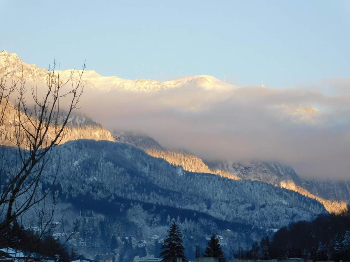 Sinaia Alpineview Residence 외부 사진