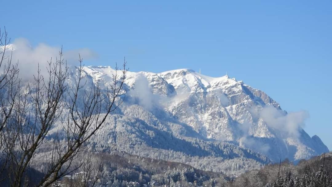 Sinaia Alpineview Residence 외부 사진