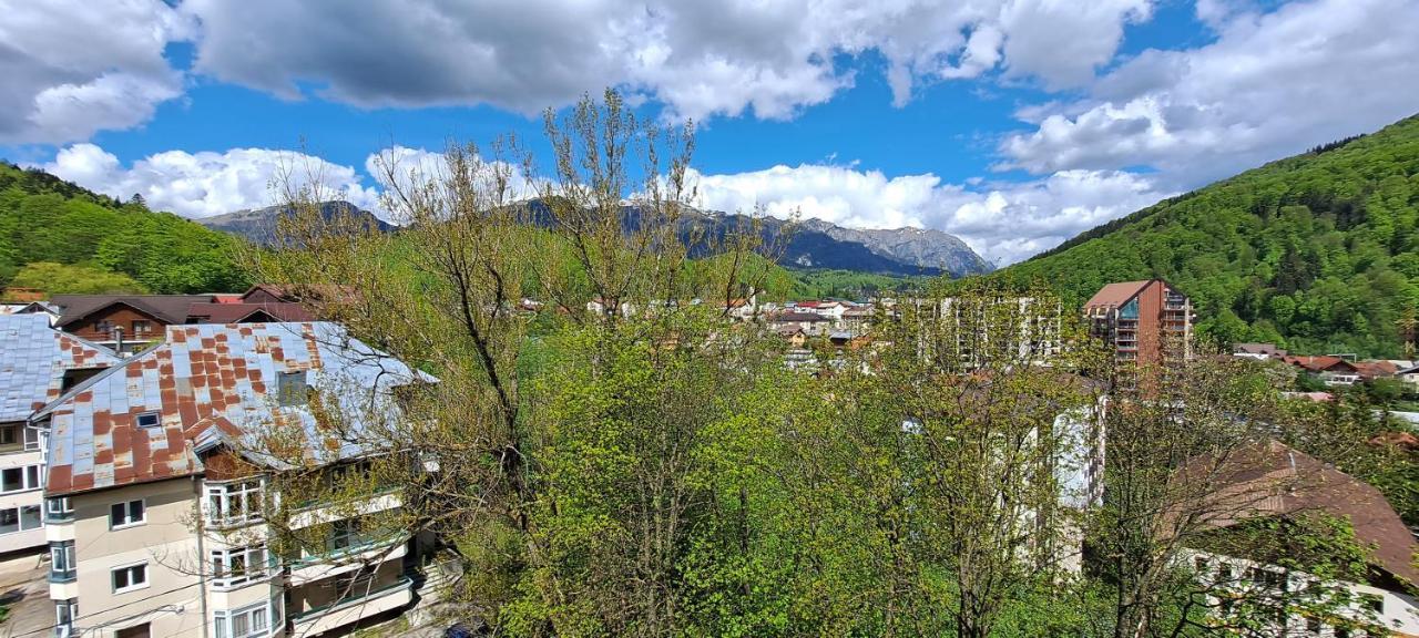 Sinaia Alpineview Residence 외부 사진