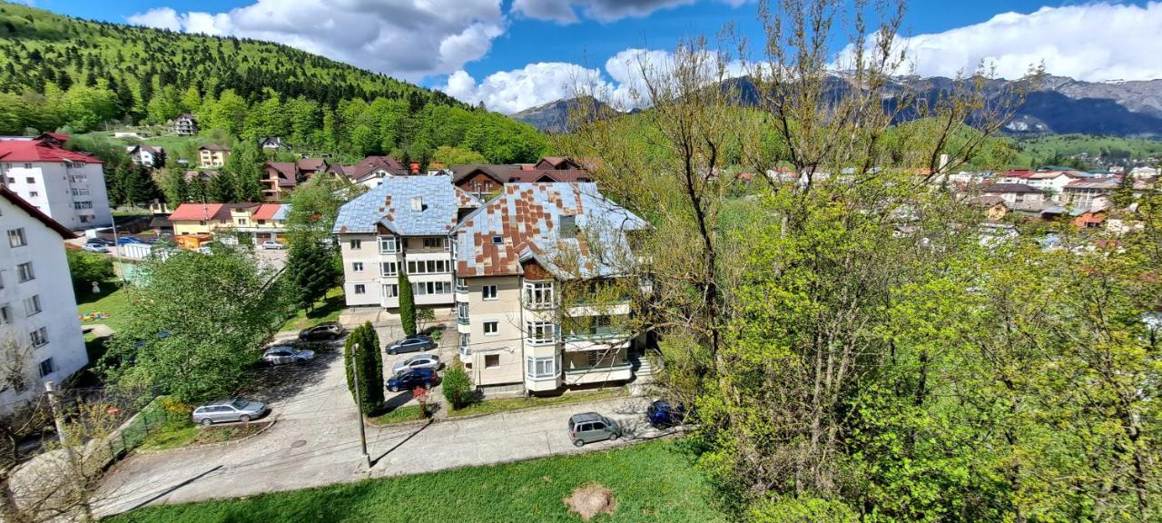 Sinaia Alpineview Residence 외부 사진