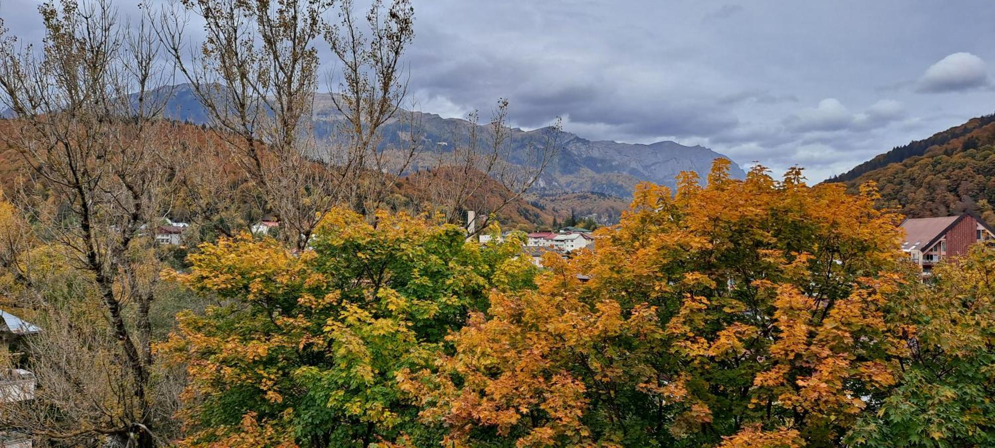 Sinaia Alpineview Residence 외부 사진